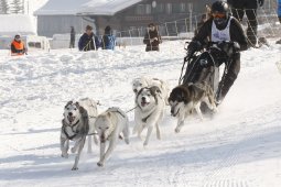 Lenk 2012 SM